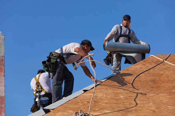 Best Storm Damage Roof Repair  in Federal Y, WA