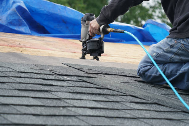 Best Metal Roofing Contractor  in Federal Y, WA